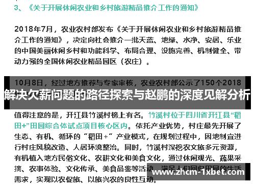 解决欠薪问题的路径探索与赵鹏的深度见解分析