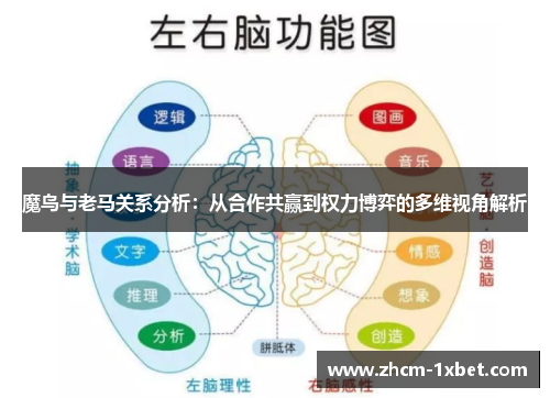 魔鸟与老马关系分析：从合作共赢到权力博弈的多维视角解析
